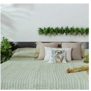 Pastel Green Colour Fine Quality Reversible Comforter