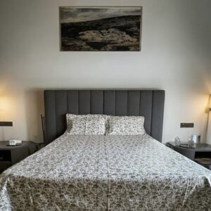 Printed (green) Cotton Bedsheets for Double Bed with 2 Pillow covers