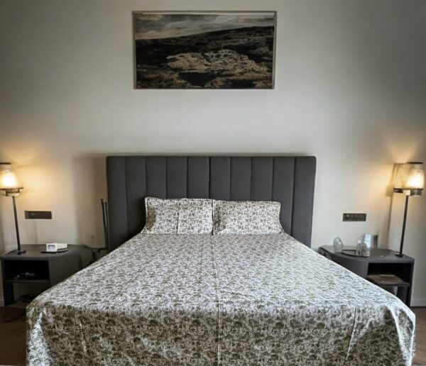 Printed (green) Cotton Bedsheets for Double Bed with 2 Pillow covers